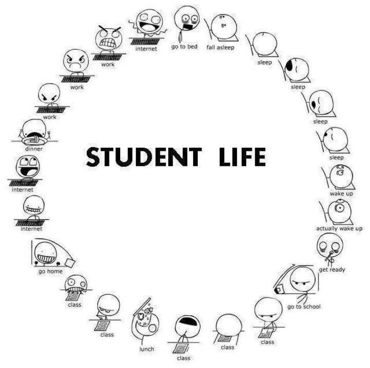 My Daily Life as a Student - Essay - PreserveArticles com